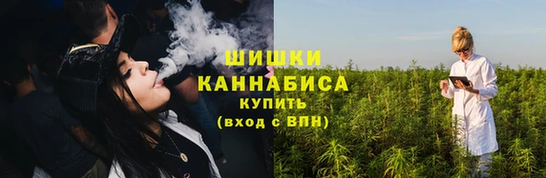 твердый Богородицк