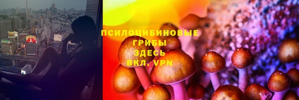 шишки Белоозёрский