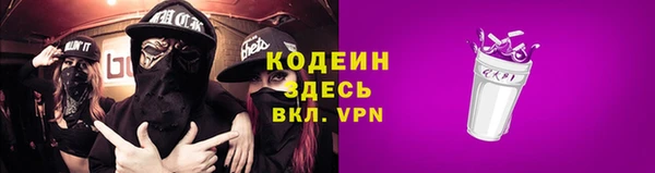 шишки Белоозёрский